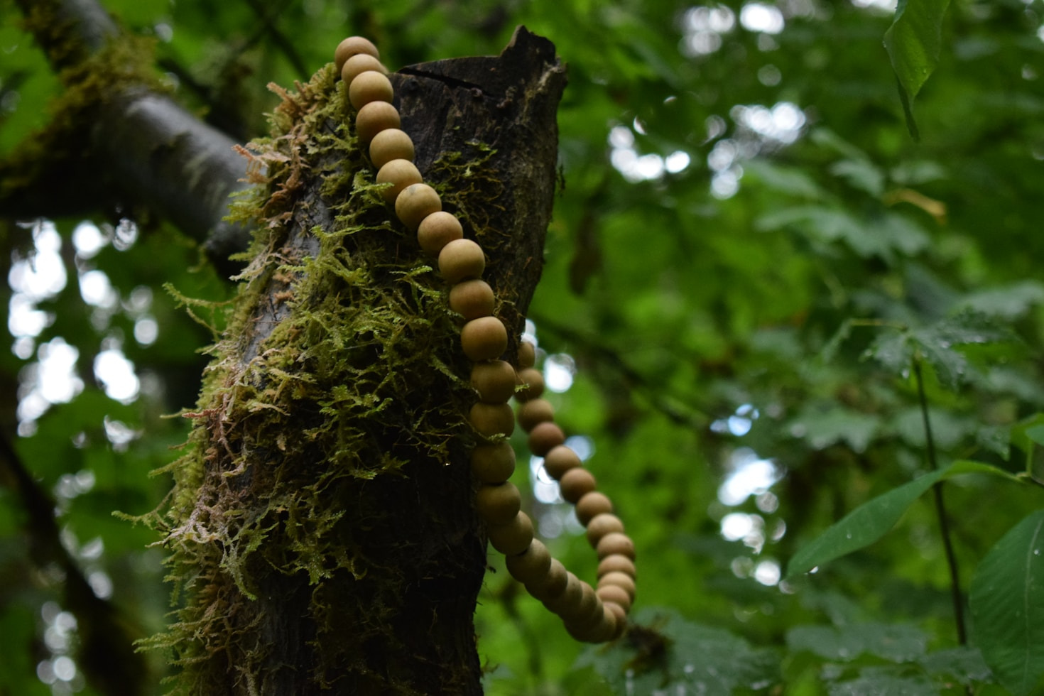 Die Wahl der richtigen Mala für Ihre Praxis